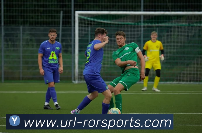 ROR体育平台生态图